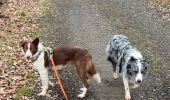 Tocht Stappen Neufchâteau - Bois d’Ospau avec Nafi - Photo 6