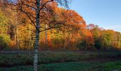 Tour Zu Fuß Renkum - Dwars door Gelderland (11) - Photo 4