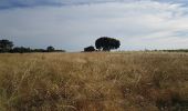 Randonnée Marche nordique Le Bosc - Le Bosc Grandmont - Photo 20