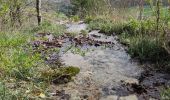 Trail Walking Barbirey-sur-Ouche - boucle Jaugey - Photo 1