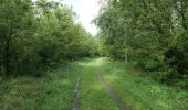 Trail On foot Wandlitz - Wanderweg Basdorf-Schönerlinde - Photo 8