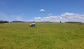 Trail Walking Dossenheim-sur-Zinsel - Le Bastberg depuis Dossenheim-sur-Zinsel - Photo 4