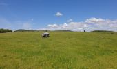 Tour Wandern Dossenheim - Le Bastberg depuis Dossenheim-sur-Zinsel - Photo 4