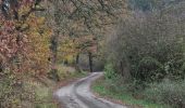 Percorso Marcia Somme-Leuze - Baillonville-Waillet-Les Vennes - Photo 2