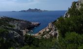 Trail Walking Marseille - calanques podestal, escut, melette - Photo 4