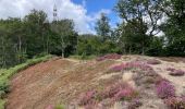 Trail  Monceaux-sur-Dordogne - Monceaux sur Dordogne - Photo 5