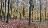 Percorso Mountainbike Gerpinnes - Fromiée Thy-le-bauduin Laneffe Morialmé  - Photo 5