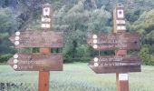 Percorso Marcia Isola - Boucle de Louch - Photo 1
