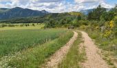 Tocht Stappen La Motte-Chalancon - La Motte Chalancon - Plateau de la Chau - Photo 13