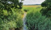 Tour Zu Fuß Rotenburg - Nordpfad 'Wümmeniederung' - Photo 1