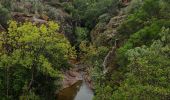 Randonnée Marche Bagnols-en-Forêt - gorges du Blavet - Photo 1