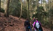 Tour Wandern Esneux - Adeps Tilff 2020 - Photo 1