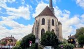 Tour Wandern Château-Landon - Linéaire de Chateau Landon à Nemours - Photo 12