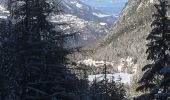 Randonnée Raquettes à neige Orsières - Champex Lac - La Breya - Champex Lac - Photo 17