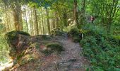 Trail Walking Vresse-sur-Semois - Balade à Chairière - Vresse sur Semois - Photo 12