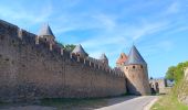 Randonnée Marche Carcassonne - carcassonne under the sun  - Photo 17