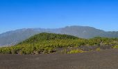 Tocht Te voet El Paso - SL LP 103 Coladas de San Juan-Llano de Jable - Photo 8