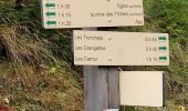 Trail Walking Arâches-la-Frasse - Les Carroz, Mont Favy, pierre à Laya, Araches, remontée par les Nantes praz rôti, retour par les grangettes - Photo 3