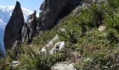 Excursión Senderismo Chamonix-Mont-Blanc - Montroc,Les 4 vents par les echelles d'Argentiere,Les Tines - Photo 6