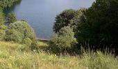 Tour Wandern Schalkenmehren - VulkanEifel Daun - Photo 2