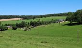 Tour Wandern Rouvroy-sur-Audry - La Boufleyye - Photo 4