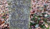 Trail Walking Vouthon-Haut - repérage bois de Greux  - Photo 1