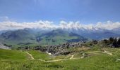 Trail Walking Le Grand-Bornand - BARGY: LE CHINAILLON - LAC DE LESSY - Photo 17