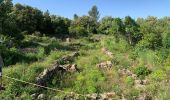 Tocht Stappen Clermont-l'Hérault - Oppidum de Clermont l’Hérault  - Photo 6