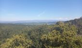 Tour Wandern Peyrolles-en-Provence - Ancien canal du Verdon 1.5.22 - Photo 3