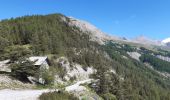 Trail Walking Jausiers - le lac des sagnes - Photo 7