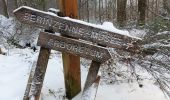 Percorso Marcia Spa - berinzenne entre fagne et bois dans le brouillard - Photo 3