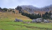 Tour Wandern Fillière - Chalet des Auges - Photo 8