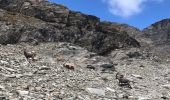 Trail Walking Bessans - Glacier du grand fond à Bessans - Photo 19