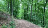 Trail Walking Kordel - Kordel ramstein burg 23 km - Photo 10