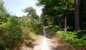Trail Walking Huismes - Huismes - les Fontaines d'Ozon GR3 - 15.9km 170m 3h35 - 2022 07 17 - Photo 2