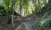 Tocht Stappen Bouillon - Lés échelles de Rochehaut - Photo 5