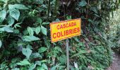 Tour Wandern Mindo - Cascadas de Tarabita - Photo 13
