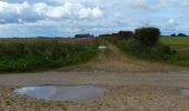 Randonnée A pied King's Lynn and West Norfolk - Brancaster Circular Walk - Photo 8