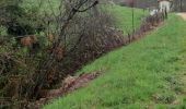 Trail Walking Belsentes - Nonières. Par les chemins de l'école Buisson-nière - Photo 2