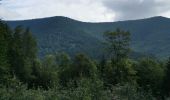 Excursión Senderismo Ribeauvillé - boucle la grande verrerie-roche des 3 tables-roche des reptiles-roche des géants-la grande verrerie  - Photo 16