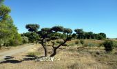 Randonnée Marche Laure-Minervois - LAURE MINERVOIS - Le sentier des Capitelles - Photo 8