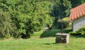 Tour Wandern La Chaise-Dieu - Folgoux - Photo 5