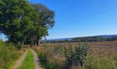 Trail Walking Beauraing - Balade de Wiesme à Finnevaux - Photo 3