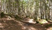 Excursión Senderismo Lamoura - Jura 07-06-2019 - Photo 7