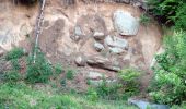 Tour Zu Fuß Groß-Bieberau - Rundwanderweg Fischbachtal Riedbusch 5: Schlangen-Weg - Photo 9