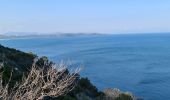 Excursión Senderismo Ramatuelle - Ramatuelle - de Bonne Terrasse au Rocher des Portes en passant par le phare - Photo 12