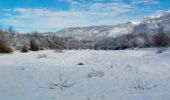 Tour Zu Fuß Unknown - planinarska staza Mirkovići - Brezovac - Photo 3