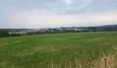 Tour Wandern Marche-en-Famenne - marche en famenne 280623 - Photo 1