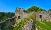 Excursión Senderismo Ferrières - Balade à Vieuxville - Photo 11