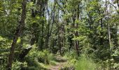 Tocht Stappen Marcoux - Ballade au volcan Montaubourg  - Photo 10